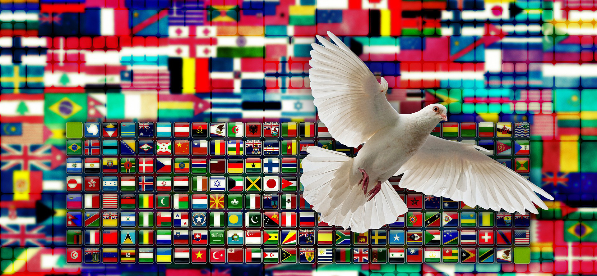 dove and country flags